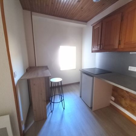 Location Appartement 1 pièce 21m² BRIOUDE 43100 - Photo 3
