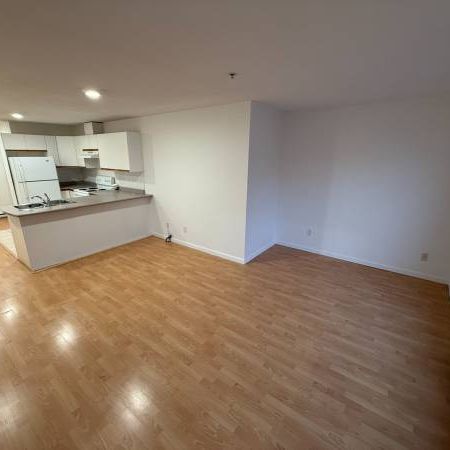 Spacious 2-Bedroom Apartment - Steps from Savio Volpe! - Photo 1