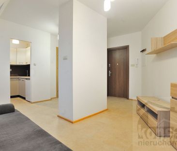 Kawalerka świeżo po remoncie - Zdjęcie 5