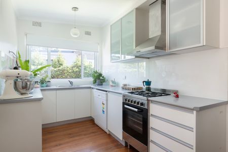 7 Hammond Avenue, Croydon NSW 2132 - House For Rent | Domain - Photo 2