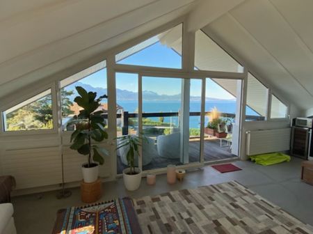 Splendid luxury apartment in Grandvaux with lake view - Photo 5