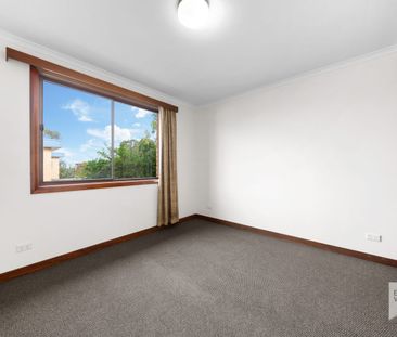 Freshly Renovated Warm Sunny 2 Bedroom Unit - Photo 3