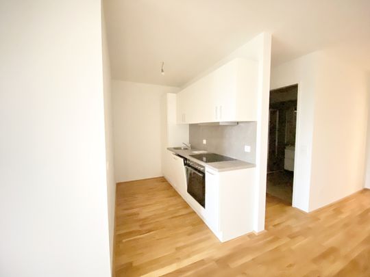 =Das Laurenz= Top Weitblick Wohnung U3 2 Zimmer + Balkon - 1 bedroom apartment + balcony ERSTBEZUG - Photo 1