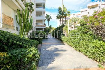 Cap-negret, Altea, Valencian Community 03590