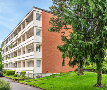 3-Zimmerwohnung in Liestal - Foto 2