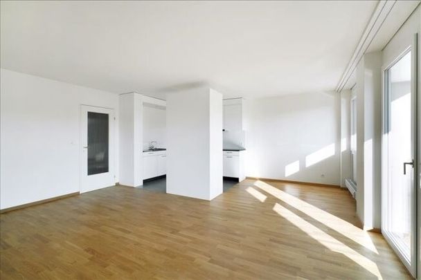 Find your new apartment in Binningen - Photo 1