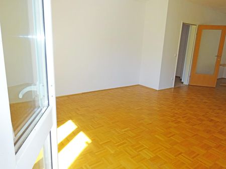 Gemütliche Terrassenwohnung in Oberneukirchen - Foto 4