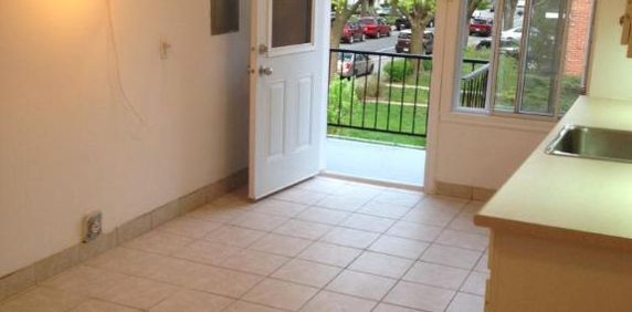 4 1/2 - Montréal (Rosemont) - 1 400 $/mois - Photo 2