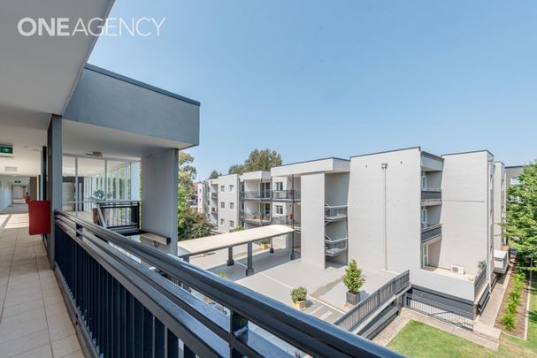 106/68 Hardwick Crescent, Holt ACT 2615 - Apartment For Rent | Domain - Photo 1