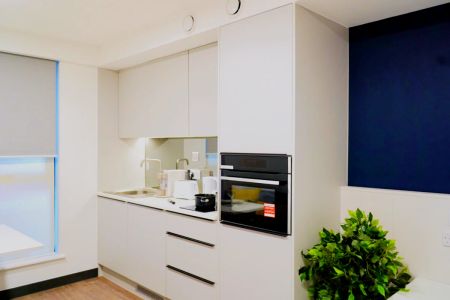 Luxury Plus Studio - Photo 4