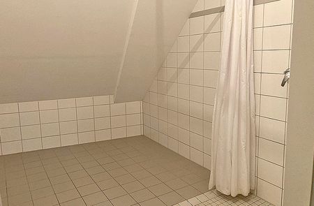 barrierefreie Wohnung in Pulkau - Photo 5