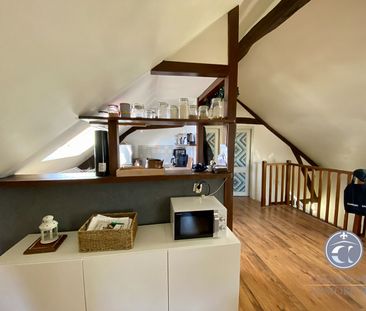 T2 Meublé - BLOIS - Photo 3