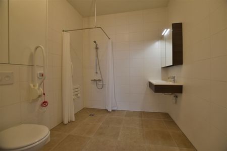 Assistentiewoning hartje Dendermonde - Photo 5