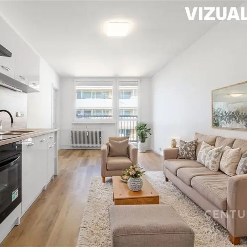 Pronájem bytu 2+1 po kompletní rekonstrukci, ul. Brněnská, Most – 11. patro, volný od 1. 7. - Fotografie 1