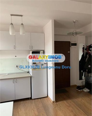 Apartament 2 Camere 13 Septembrie - P. Ispirescu 360E Primul Chirias - Photo 3