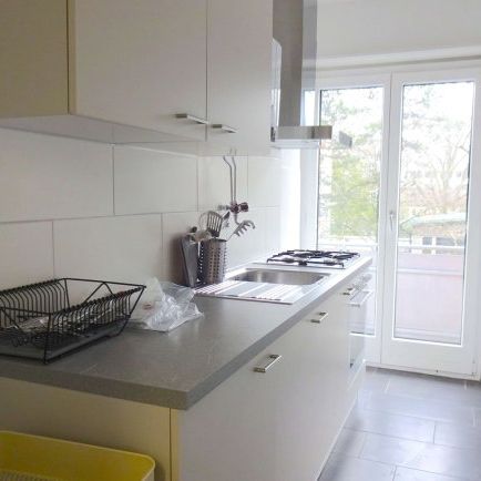 1 Zimmer, 20 m², 2. Stock - Photo 3