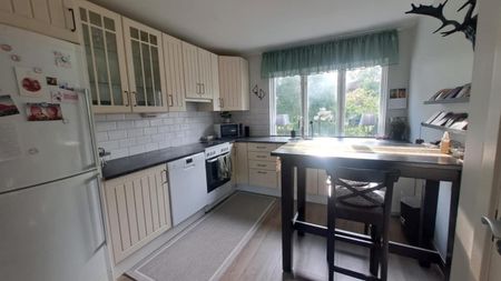 Timmergata, Kolmården - Photo 3