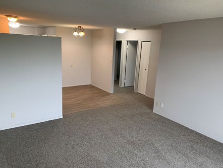 204 5540 44 Avenue - Photo 5