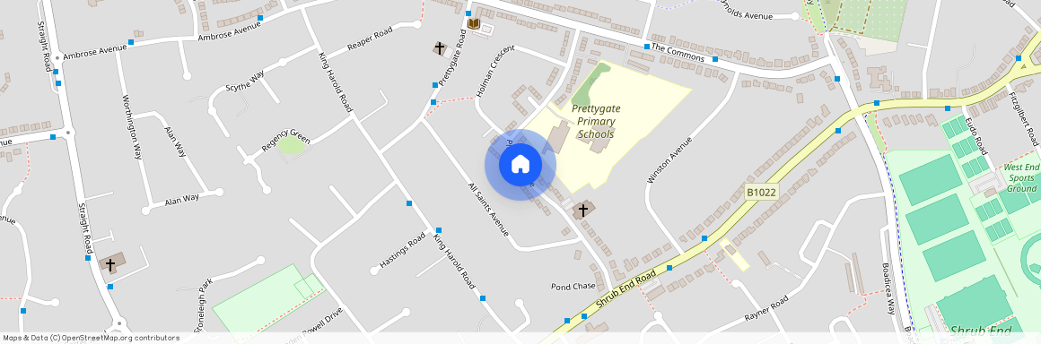 Plume Avenue, CO3 4PQ, Colchester