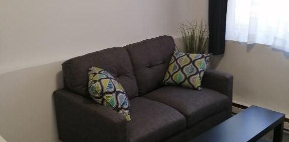 Jolis studios avec chambre fermée à Rosemont, quartier très agréable - Photo 2