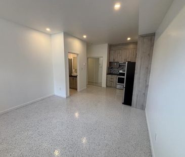 1 1/2 - Montréal (Saint-Henri) - 975 $/mois - Photo 3