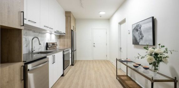 Appartement 1 Chambre à Louer Montreal - Photo 2