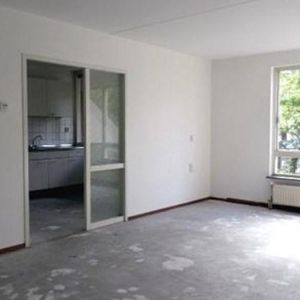 Adriaen van der Doeslaan, 3054 Rotterdam, Nederland - Foto 2