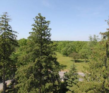 Park Royal Estates - Photo 3