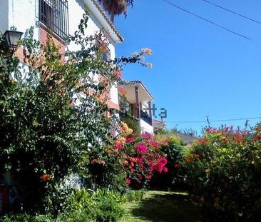 Alquiler de casa o chalet independiente en Lo Cea - Los Cortijos - Photo 5