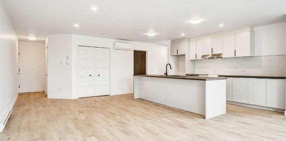 PROMO 1 mois gratuit! Beau 5 1/2 neuf ! Juillet/Aout 2025, Huntingdon - Photo 2