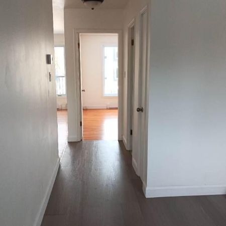 3 1/2 entièrement rénové - Photo 4