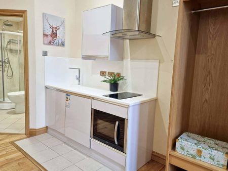 Deluxe Studio - Photo 3