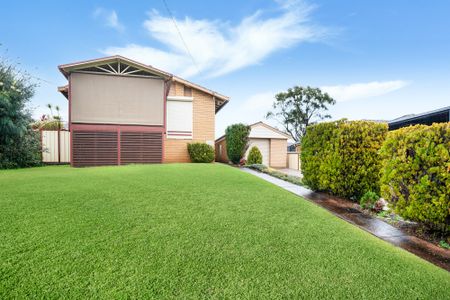 41 Oak Drive, Georges Hall NSW 2198 - House For Rent | Domain - Photo 4