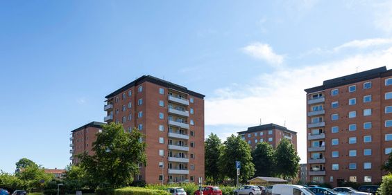 Sibeliusgatan 9 - Photo 3