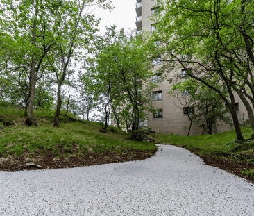 Le Hill-Park - Photo 1