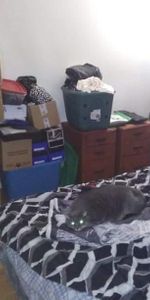 CONTRECOEUR BEAU 3 1/2 DEVANT PARC ET CPE 1er novembre - Photo 4