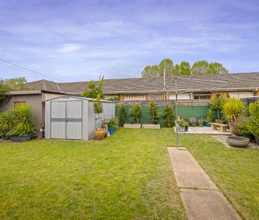 986 Wewak Street, North Albury NSW 2640 - House For Rent | Domain - Photo 6