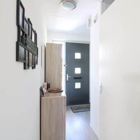 Steenakker - Photo 3