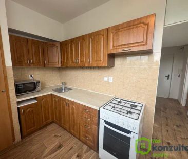 Pronájem krásného bytu 2+1 se zasklenou lodžií po rekonstrukci - Photo 6