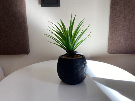 Casa adosada de alquiler en Calle Alberto, 29, Villacana - Costalita - Saladillo - Photo 3