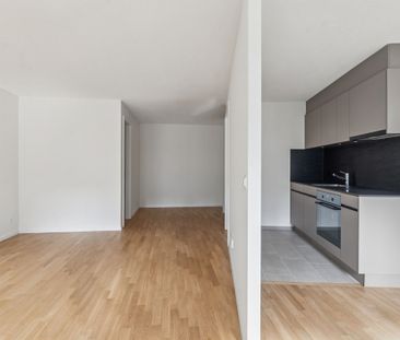 Central city apartment – ideal for singles/students - Foto 5