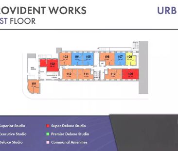 Deluxe Studio - Photo 5