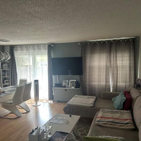 1 CH - 1 SDB - Côte Saint-Luc - $1,240 /mo - Photo 4