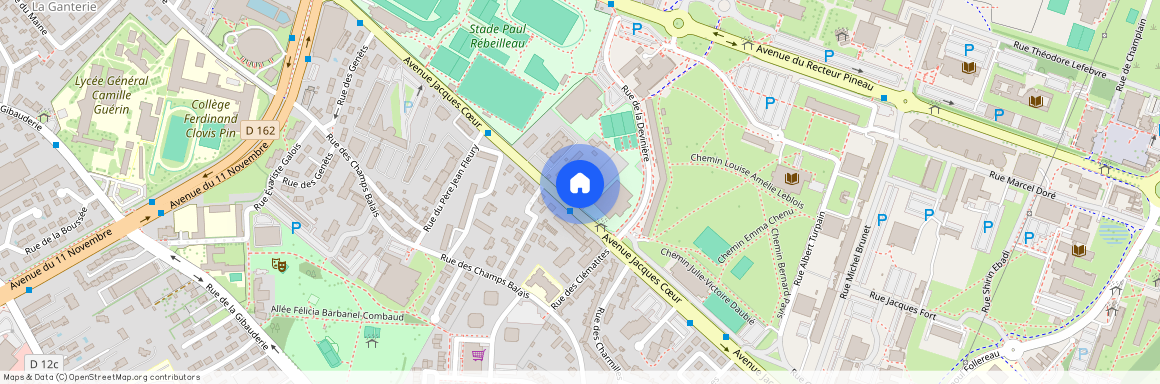 95 avenue Jacques Coeur, 86000, Poitiers