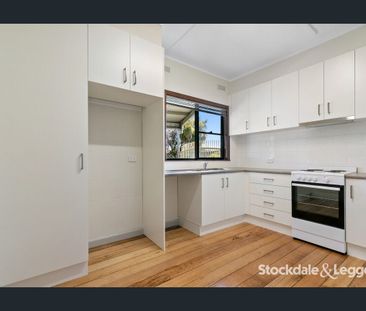 Renovated West End Home With Brilliant Shedding! - Photo 6