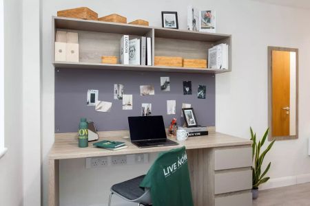 Silver En Suite (Lower Floors) - Photo 4