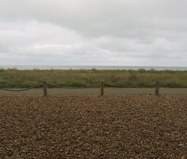 Trujillo Court - Photo 6