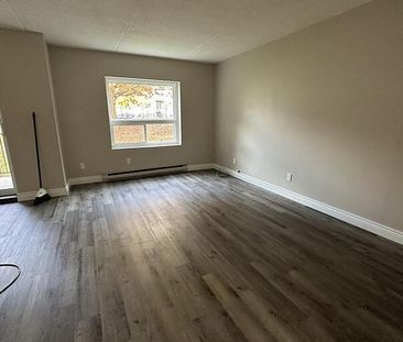 4 Balmoral Place - Photo 1