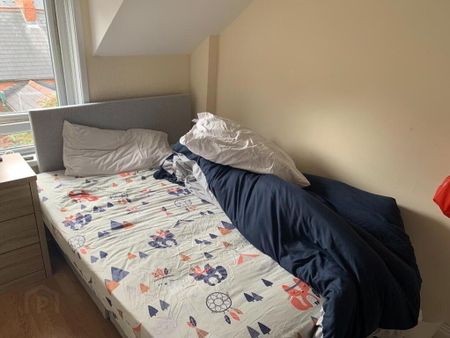 49 Elaine Street, Belfast, BT9 5AR - Photo 2