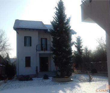CASA VILA DE INCHIRIAT SATU MARE str BARBU DELAVRANCIA nr 8 - Photo 6